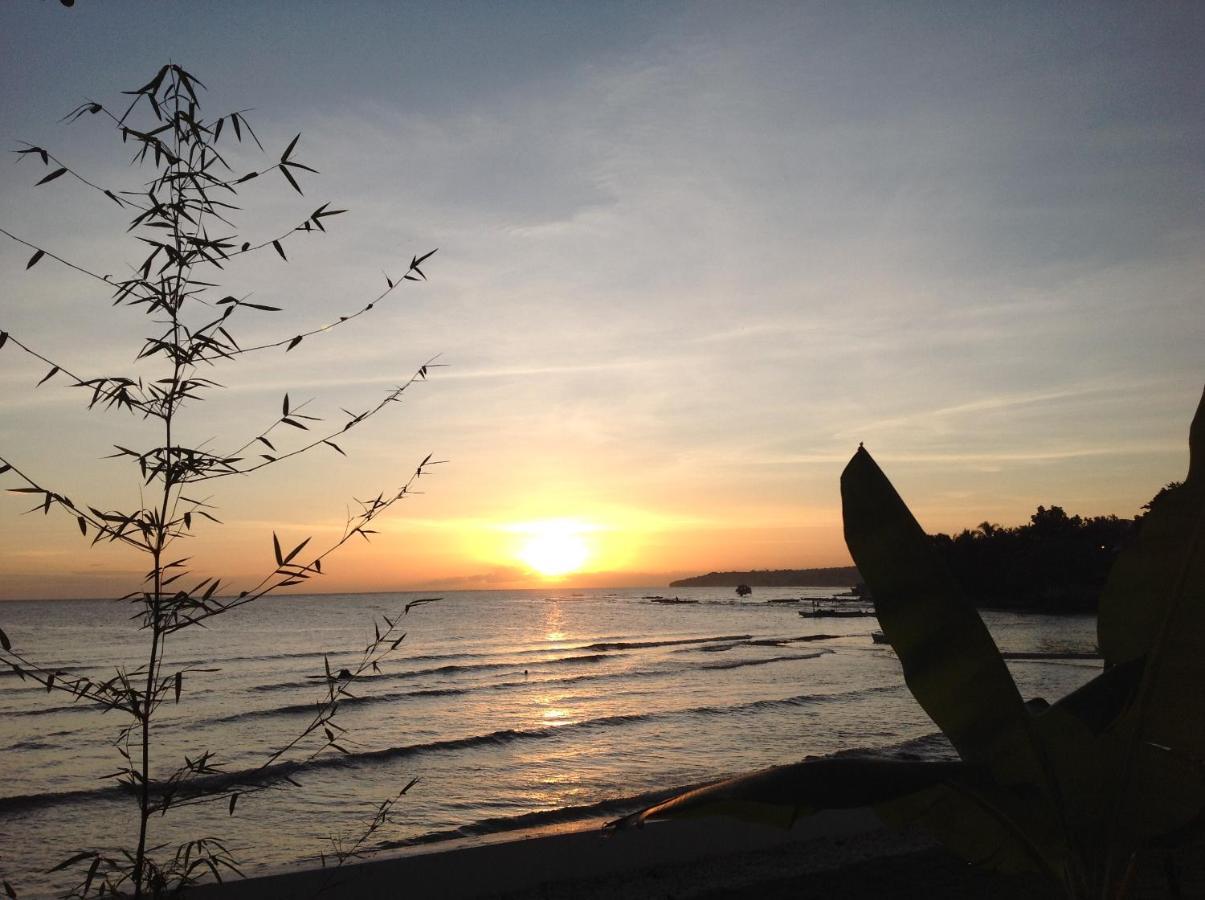 Bamboobeachvilla1 Ac New Oceanfront Pool Sunsetview Garden Kitchen Satellite Starlink Wi-Fi Dimiao Екстериор снимка